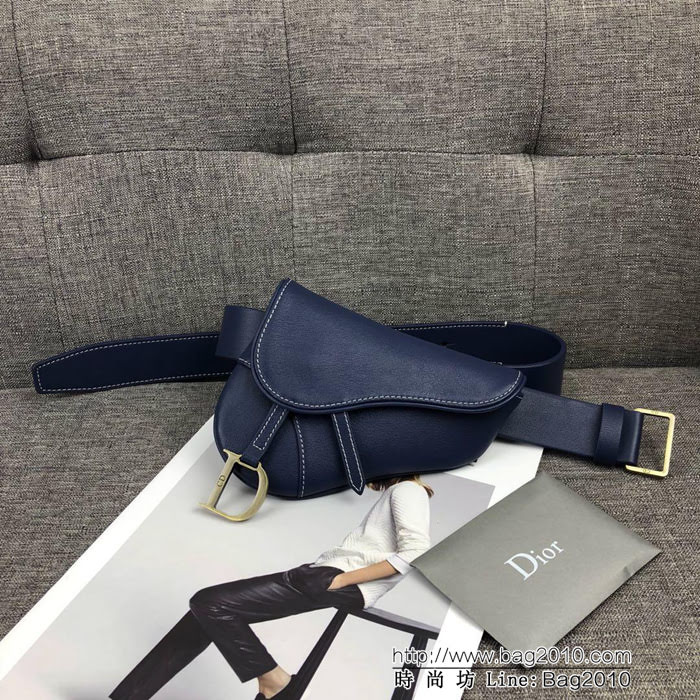 DIOR迪奧 Vintage Saddle Bag馬鞍小腰包  zdo1241